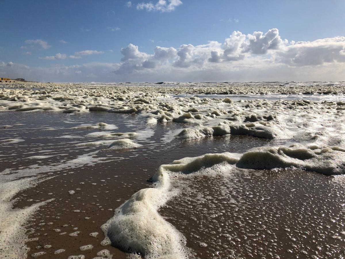 Eco Lodge Duin- Unieke Locatie -Strand, Duin En Nabij Cultuursteden Кастрикюм Экстерьер фото